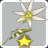 Fleur d'Edelweiss Eclatante
